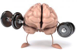 iStock_000015400991Small
